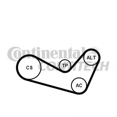 Set curea transmisie cu caneluri SKODA FABIA - Cod intern: W20262724 - LIVRARE DIN STOC in 24 ore!!!