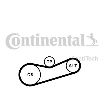 Set curea transmisie cu caneluri SKODA FABIA II (2006 - 2014) CONTITECH 6PK1180K2 piesa NOUA