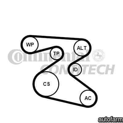 Set curea transmisie cu caneluri SKODA RAPID (NH3)