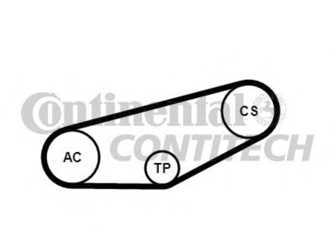 Set curea transmisie cu caneluri SKODA SUPERB (3U4) - Cod intern: W20262702 - LIVRARE DIN STOC in 24 ore!!!