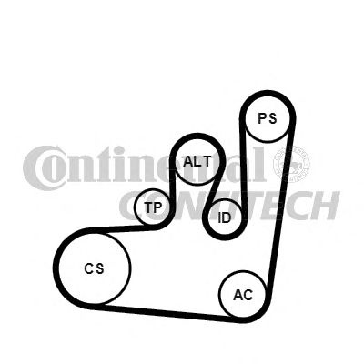 Set curea transmisie cu caneluri VOLKSWAGEN CADDY Mk II (9K9A) - Cod intern: W20262726 - LIVRARE DIN STOC in 24 ore!!!