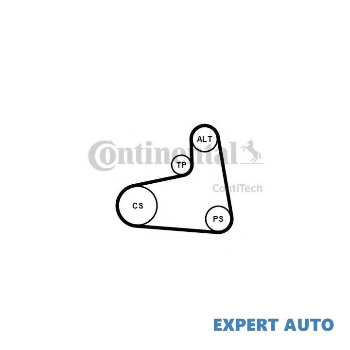 Set curea transmisie cu caneluri Volkswagen VW NEW BEETLE (9C1, 1C1) 1998-2010 #2 6PK906K1