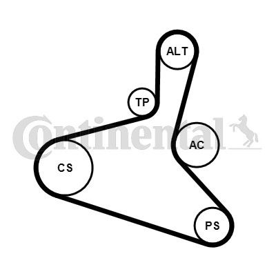 Set curea transmisie cu caneluri # Vw Caddy 2004 2