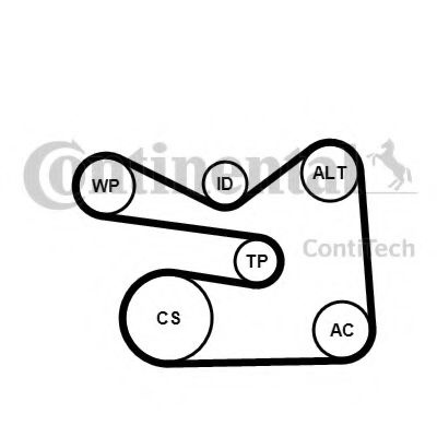 Set curea transmisie cu caneluri VW GOLF PLUS (5M1, 521) (2005 - 2013) CONTITECH 6PK1733K3 piesa NOUA