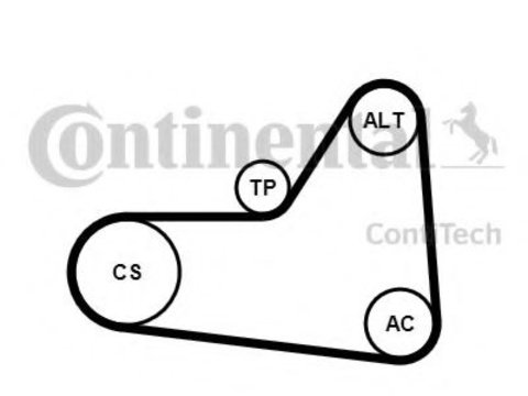 Set curea transmisie cu caneluri VW TOURAN (1T1, 1T2) (2003 - 2010) CONTITECH 6PK1070K1