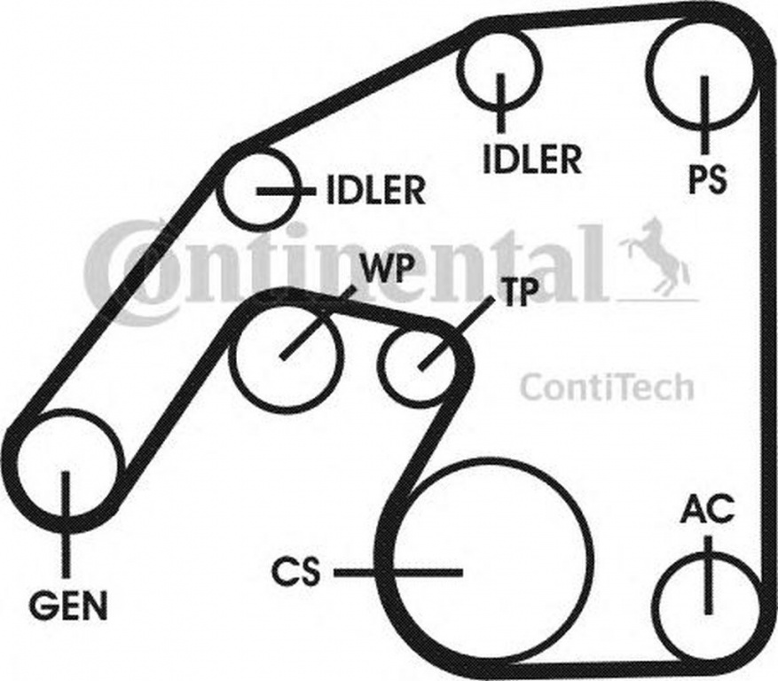 Set Curea transmisie MERCEDES-BENZ E-CLASS T-Model S211 CONTITECH 6PK2260D1