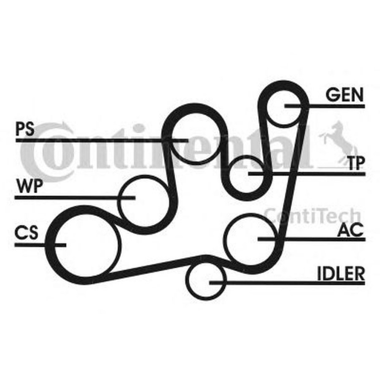 Set Curea transmisie RENAULT MEGANE Scenic JA0 1 C