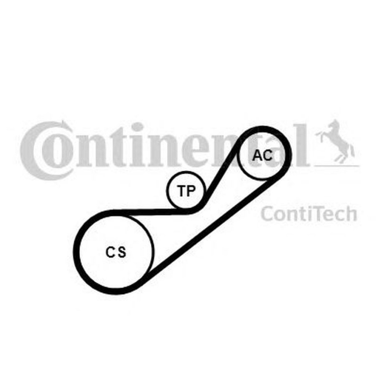 Set Curea transmisie RENAULT SYMBOL II LU1 2 CONTITECH 4PK925K1