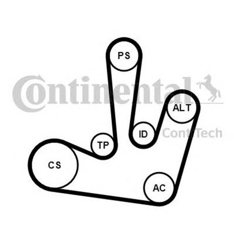 Set Curea transmisie RENAULT TRAFIC II bus JL CONTITECH 6PK1795K1