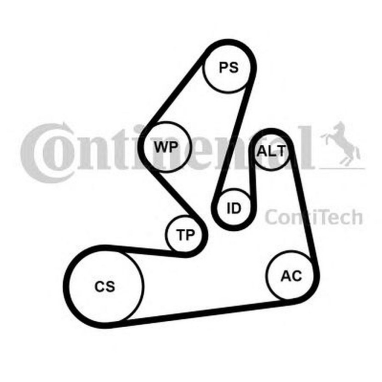 Set Curea transmisie RENAULT TRAFIC II caroserie FL CONTITECH 7PK1970K1