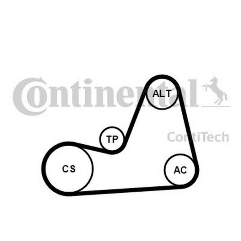 Set Curea transmisie SEAT ALTEA XL 5P5 5P8 CONTITECH 6PK1100K1