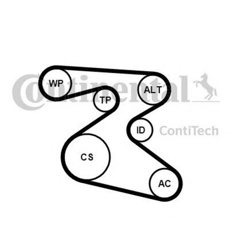Set Curea transmisie SKODA FABIA Combi CONTITECH 6