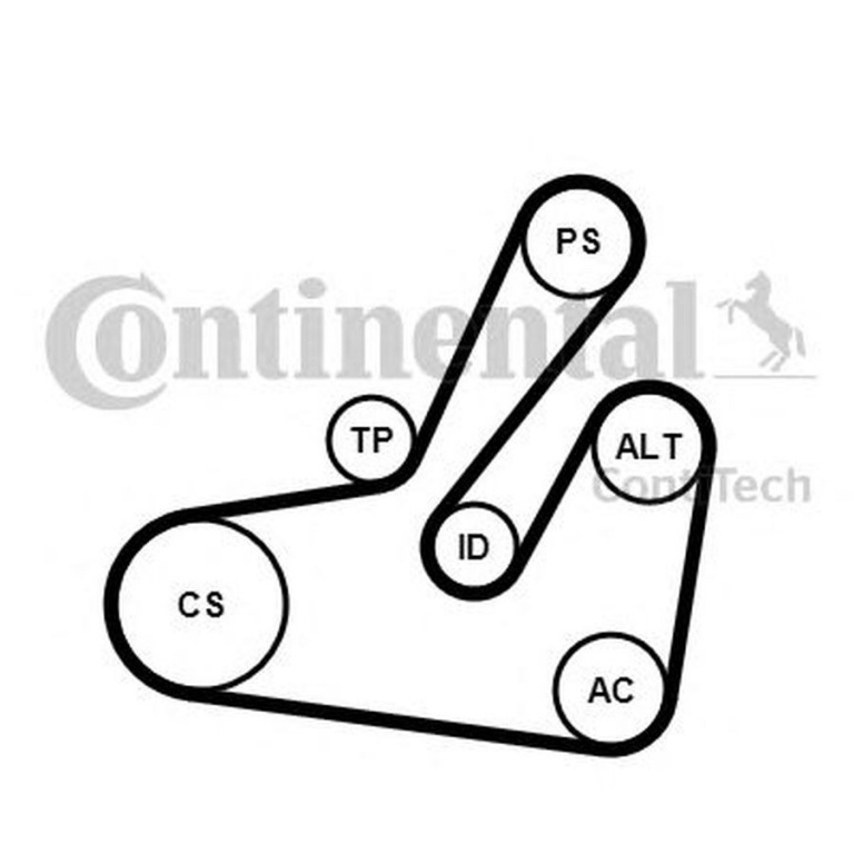 Set Curea transmisie VOLVO S40 I VS CONTITECH 6PK1795K2