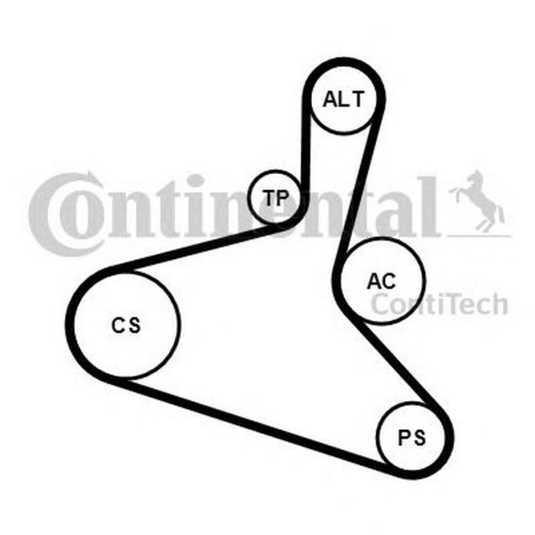 Set Curea transmisie VW SHARAN 7M8 7M9 7M6 CONTITECH 6DPK1195K1