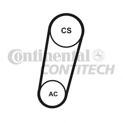 Set curele 5PK705 ELAST T1 CONTINENTAL pentru Ford C-max Ford Focus Volvo S40 Volvo V50 Volvo C30