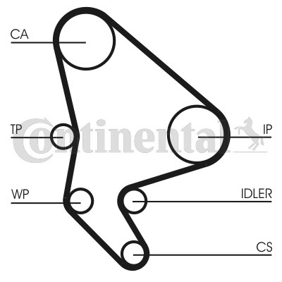 Set distributie cu pompa apa # Fiat Scudo 1999 200
