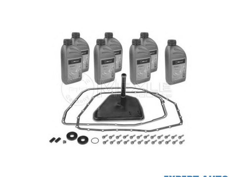 Set filtru cu ulei cutie automata Audi AUDI A4 (8E2, B6) 2000-2004 #2 09L325429