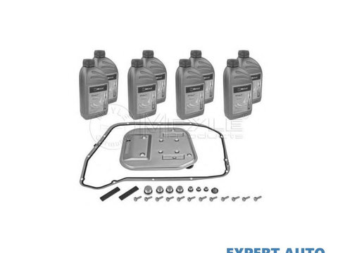Set filtru cu ulei cutie automata Audi AUDI A7 Sportback (4GA, 4GF) 2010-2016 #2 0BK398009