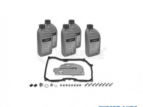 Set filtru cu ulei cutie automata Volkswagen VW TOURAN (1T1, 1T2) 2003-2010 #2 09G325429
