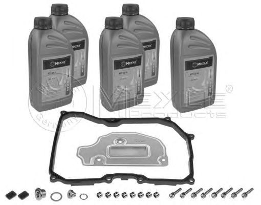 Set filtru cutie automata VW NEW BEETLE 9C1 1C1 MEYLE 1001350101