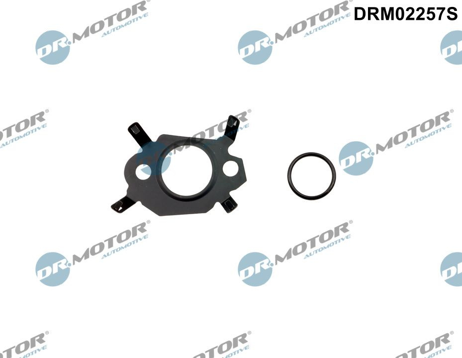 Set garnitura sistem EGR Dr.Motor Automotive DRM02257S la masina PEUGEOT EXPERT platou / sasiu (V_) 2016 2017 2018 2019 2020 2021 2022 2023 2024 2025