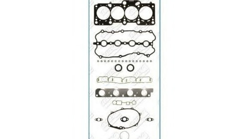 Set garnituri 52270900 AJUSA pentru Audi