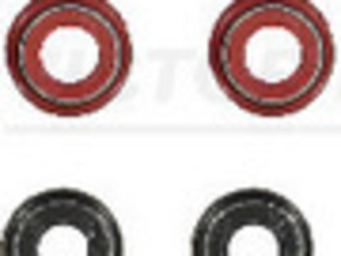 Set garnituri, ax supape (121254801 REI) AUDI,BENTLEY,CUPRA,LAMBORGHINI,PORSCHE,SEAT,SKODA,VW