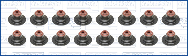 Set garnituri, ax supape AJUSA 57031200 pentru REN