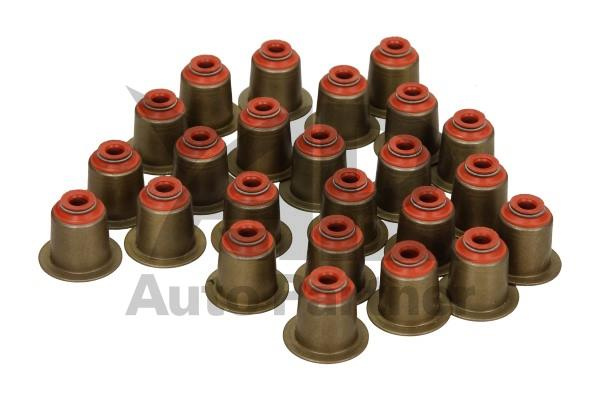 Set garnituri ax supape BMW 6 (E63) - Cod intern: W20052504 - LIVRARE DIN STOC in 24 ore!!!