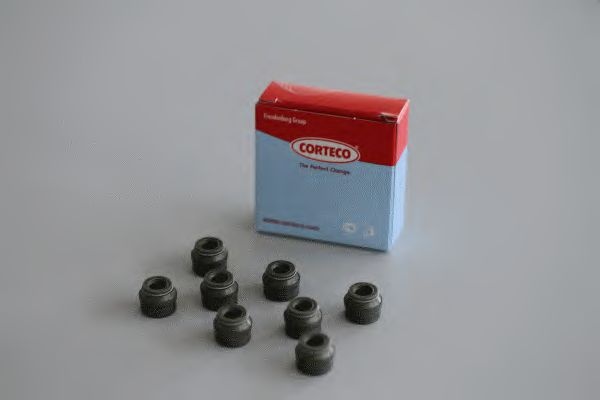 Set garnituri, ax supape FIAT DUCATO bus (244, Z_)