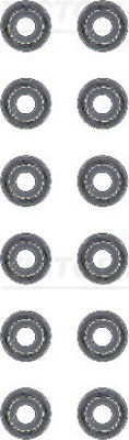 Set garnituri, ax supape VICTOR REINZ 12-53678-02