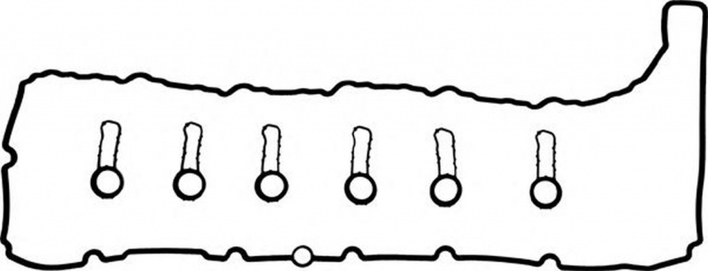 Set garnituri Capac supape BMW X6 E71 E72 VICTOR R