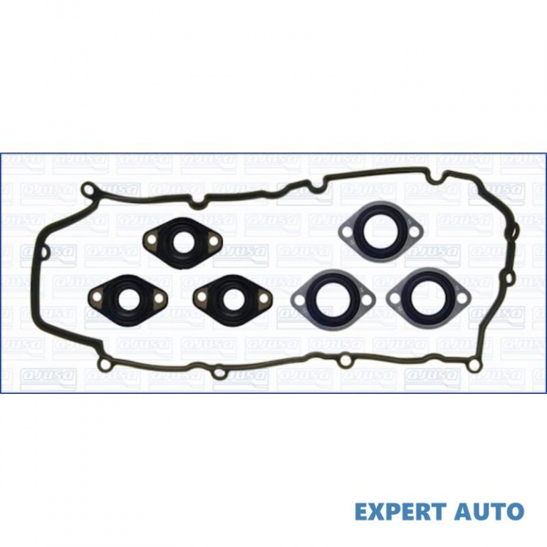 Set garnituri, capac supape Renault VEL SATIS (BJ0