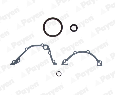 Set garnituri carter Payen TATA INDIGO MANZA 2009-2014 - EE5242
