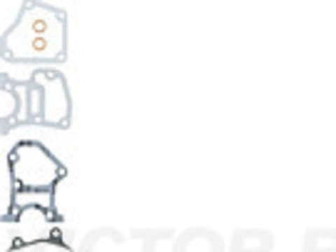 Set garnituri chiulasa 02-31733-10 VICTOR REINZ pentru Fiat Ducato Renault Master Iveco Daily