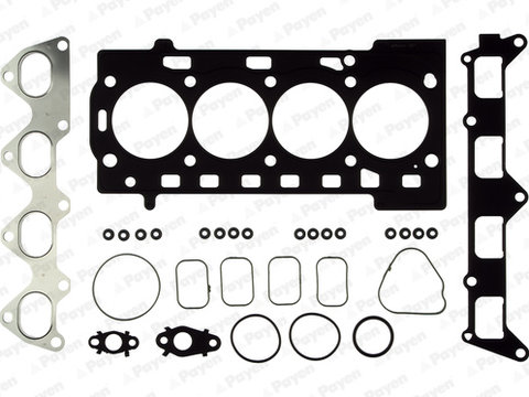 Set garnituri, chiulasa (CH5960 PAYEN) AUDI,SEAT,SKODA,VW