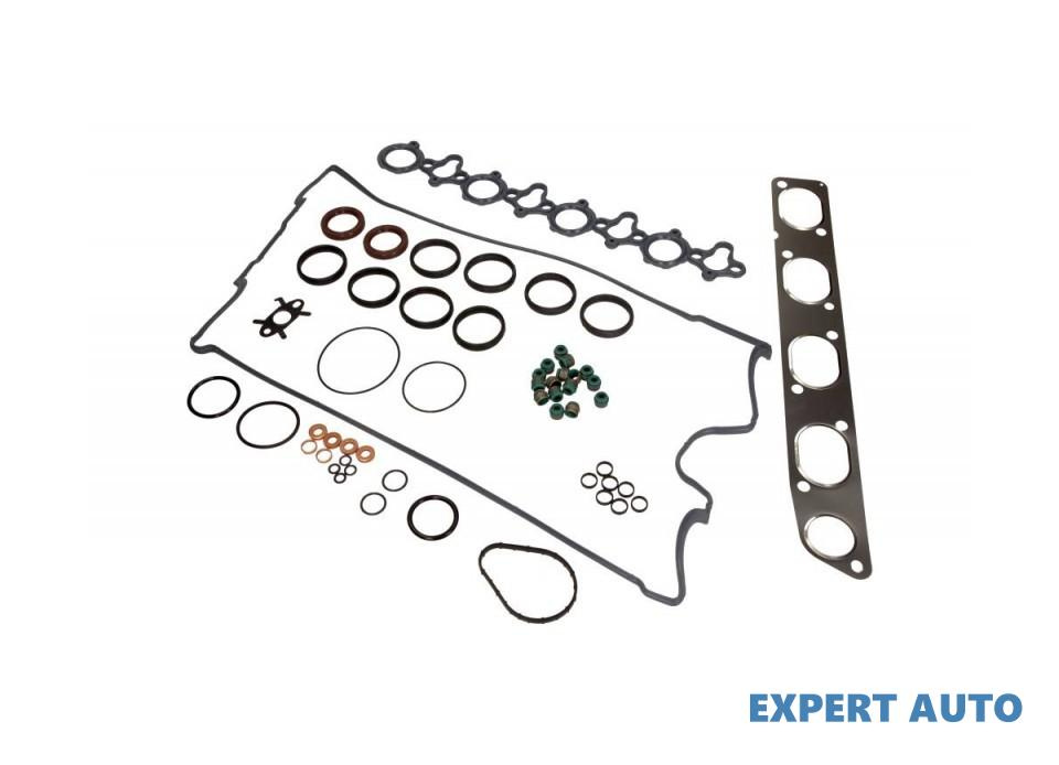 Set garnituri, chiulasa Renault MASTER II platou /