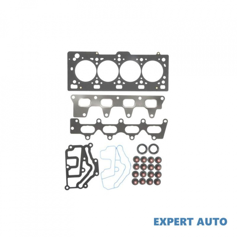 Set garnituri, chiulasa Renault MEGANE II Sport Tourer (KM0/1_) 2003-2012 #2 023167501