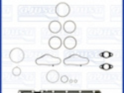 Set garnituri complet, motor (50295300 AJUSA) BMW