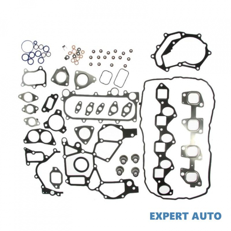Set garnituri complet, motor Renault MASTER II pla