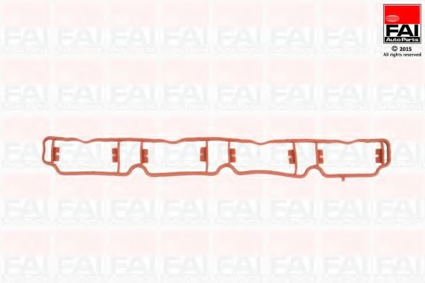 Set garnituri, galerie admisie AUDI A6 (4F2, C6) (2004 - 2011) FAI AutoParts IM1661