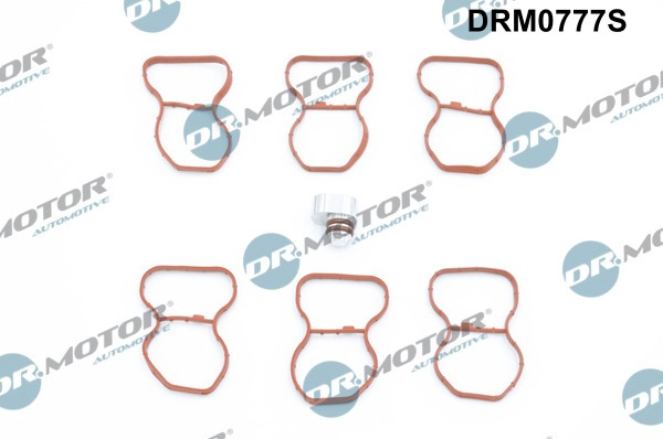 Set garnituri, galerie admisie Dr.Motor Automotive DRM0777S pentru BMW 5 (G30, F90) 2017-2020