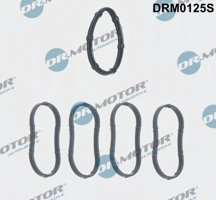 Set garnituri galerie admisie Dr.Motor Automotive OPEL VIVARO A caroserie (X83) 2001-2014 - DRM0125S