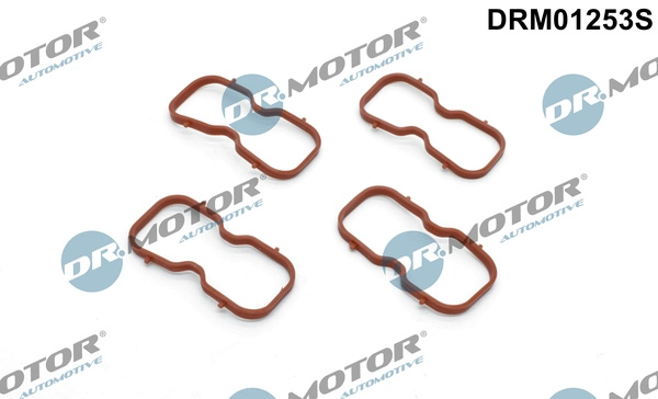 Set garnituri, galerie admisie Dr.Motor Automotive DRM01253S pentru RENAULT MASTER III platou / sasiu (EV, HV, UV) 2010-2024