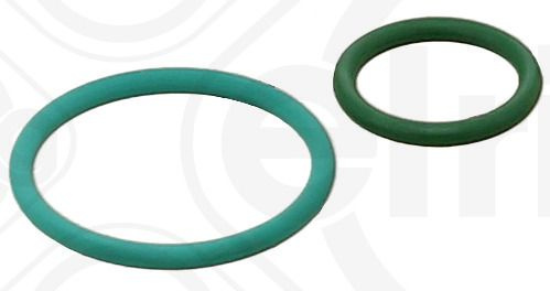 Set garnituri, pompa injectie ELRING 455.290