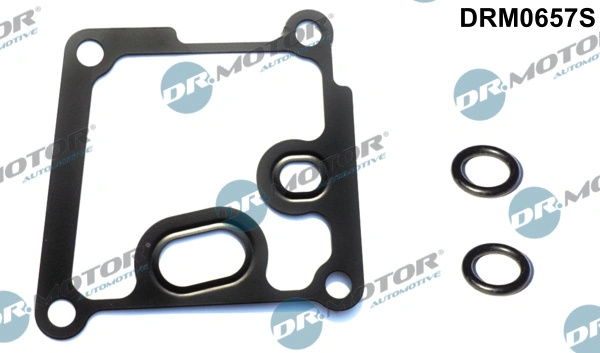 Set garnituri radiator ulei Dr.Motor Automotive FORD FOCUS II Turnier (DA_, FFS, DS) 2004-2012 - DRM0657S