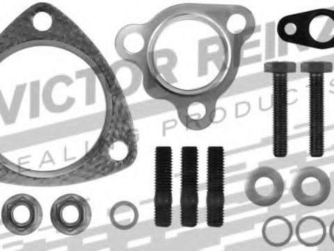 Set montaj 04-10174-01 VICTOR REINZ pentru Audi A4