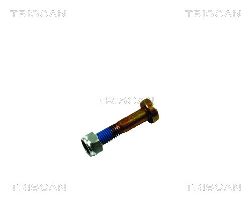 Set montaj legatura Triscan FORD TOURNEO CONNECT / GRAND TOURNEO CONNECT V408 microbus 2013-2022 - 8500 16861