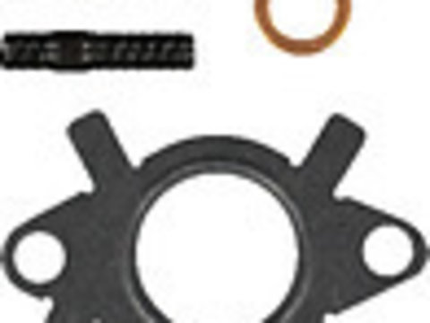 Set montaj, turbocompresor (041006101 REI) Citroen,FIAT,LANCIA,PEUGEOT