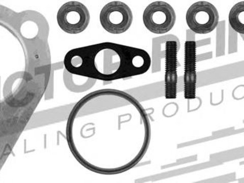 Set montaj, turbocompresor AUDI A6 limuzina (4F2, C6), AUDI A4 limuzina (8EC, B7), AUDI A4 Avant (8ED, B7) - REINZ 04-10104-01